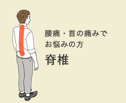 腰痛・首の痛みでお悩みの方　脊椎